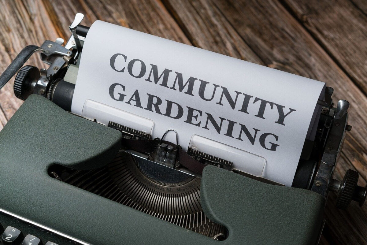 maszyna do pisania, w której jest kartka z napisem community garden, tzn. ogrodnictwo społecznościowe